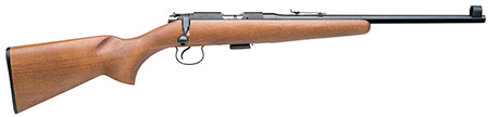 (image for) CZ 02050 CZ 452 ScoutYth Bolt 22LR 16.2" Beechwood Stock Blued - Click Image to Close