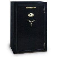 (image for) Sentry Safe 36-Gun Combination Lock Safe - Matte (59" Tall) - Click Image to Close